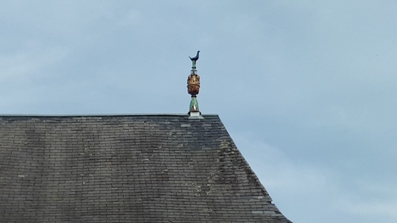 Decouverte malicornais 23082023 47