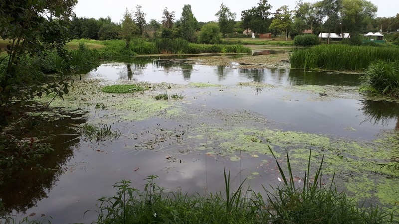 Decouverte malicornais 23082023 61