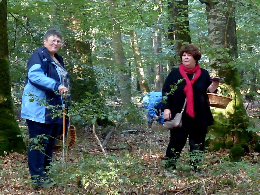 Petit moment de pause pendant la cueillette ....