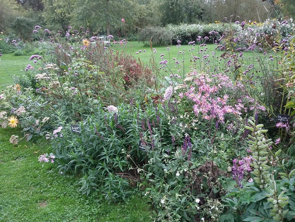Image23