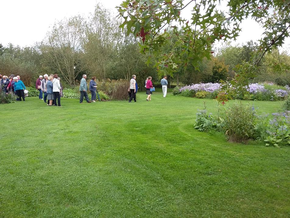 Image32