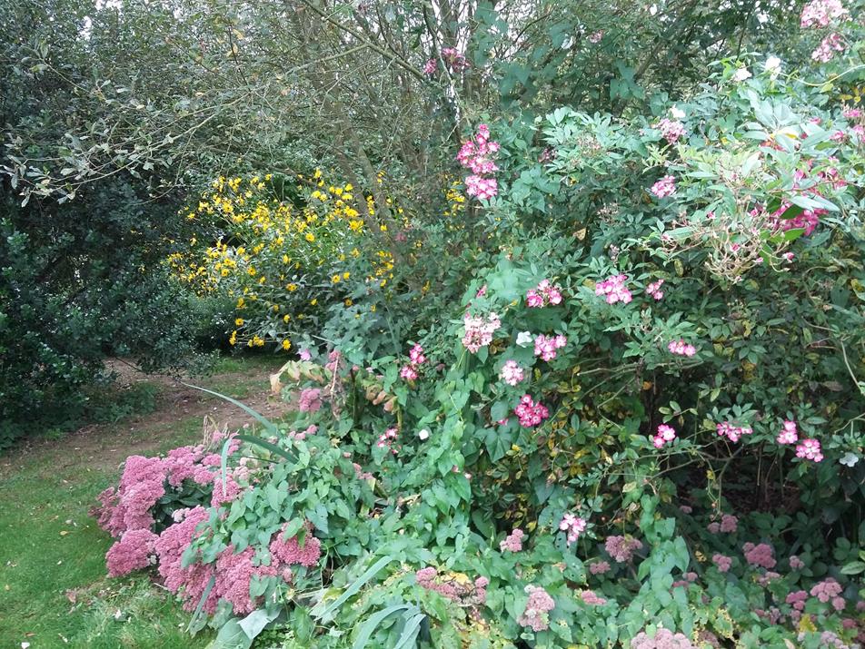 Image33