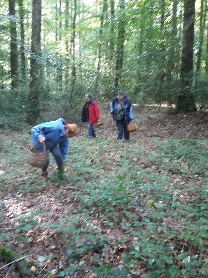 On est bien concentré !