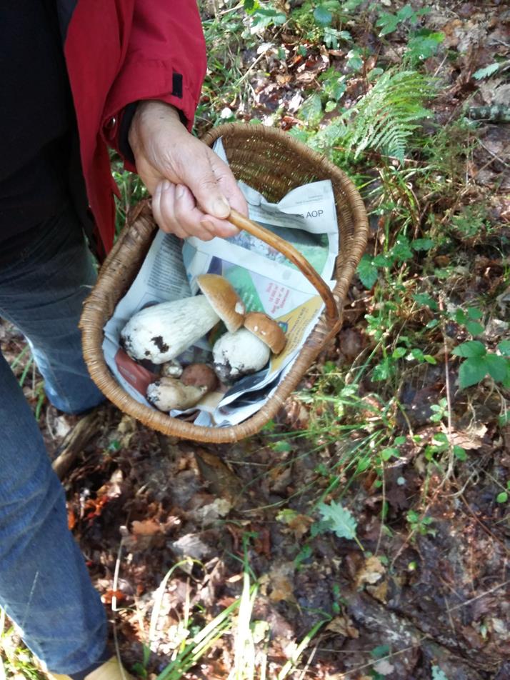 Le panier de Monique .....