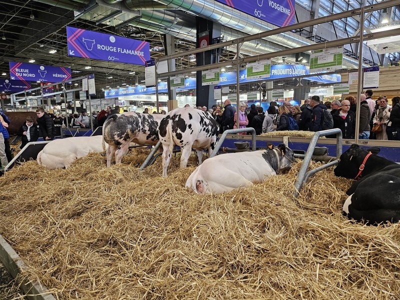 Salon agriculture 20240227 51