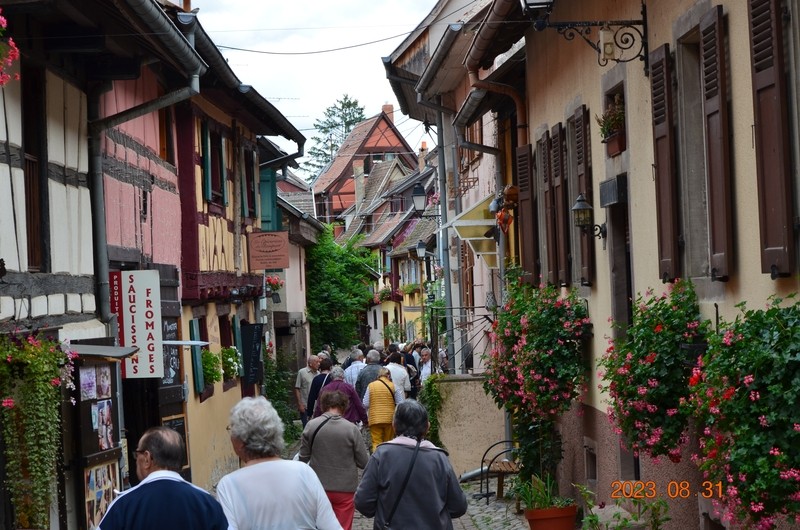 Voyage obernai 18